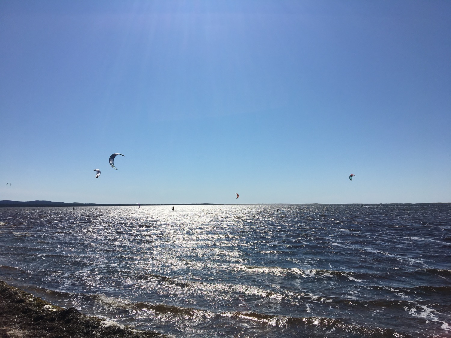 ozoneoctane2mside 300x205